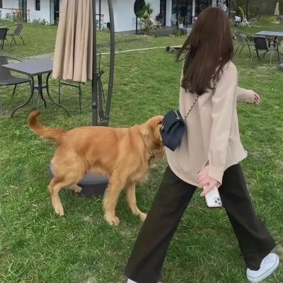 曼科桑男爵